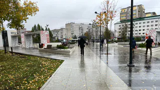 В Воронежской области прогноз на 16 октября обещает дожди и до плюс 21 градуса