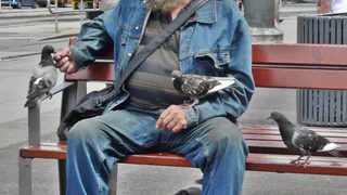 Узнала, почему в Швеции живут до 90 лет, и взяла на заметку родителям и себе