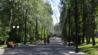 Погода в Воронежской области на 10 августа: без осадков и дневная температура до плюс 29