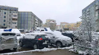 Тепло, дождь, а затем снова снег и заморозки: холодный удар ждет Центральную Россию в конце апреля