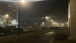 Воронежскую область 24 марта ждут туман и плюсовая температура днем