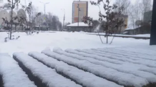 Снег и мороз до -17 обещают жителям Воронежской области в воскресенье 22 февраля