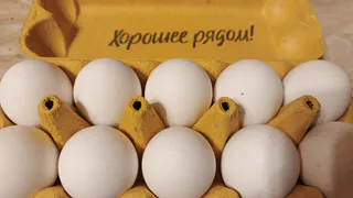 С чем нельзя есть яйца? 3 опасных сочетания, которые "убивают" пользу и вредят пищеварению после 45