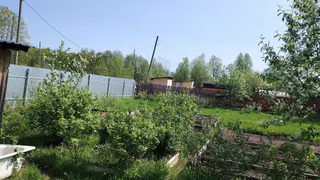 Пропалывала грядки до боли в спине, пока соседка не шепнула про одну хитрость: 1 стакан в ведро и поливаю вечером — утром ни одного сорняка