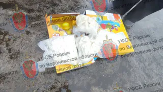 ФСБ ликвидировала два крупных канала поставок запрещённых веществ в Воронежской области