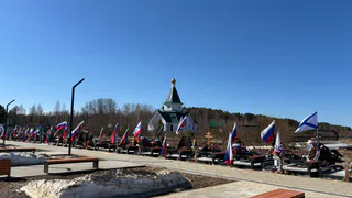 В Воронеже хотят привлечь к ответственности воровку могильных цветов