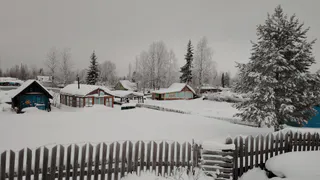 Сыпьте, пока не поздно: какое удобрение рассыпаю по снегу в ноябре для суперурожая