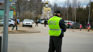 В Воронежской области инспекторы ГИБДД нашли в лесу заблудившуюся 62-летнюю женщину