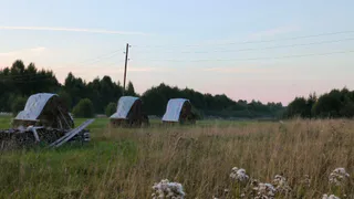 Воронежская область получит более 564 миллионов рублей на развитие кадрового потенциала агропромышленного комплекса