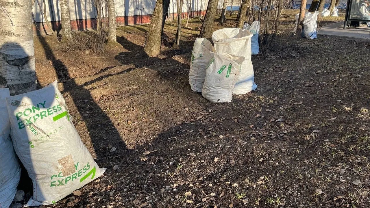 Воронежская область объединила 88 тысяч человек на осеннем субботнике