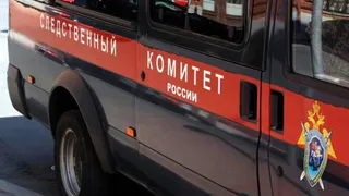 В Воронежской области бабушка систематически избивала внучку и угрожала ей убийством