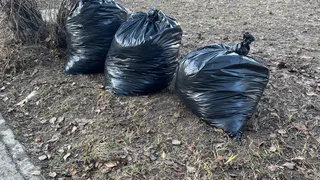Жители Воронежской области в ходе субботника убрали 226 свалок и высадили около трех тысяч деревьев