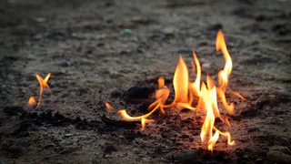 В Воронежской области южным районам угрожает чрезвычайная пожарная опасность пятого класса