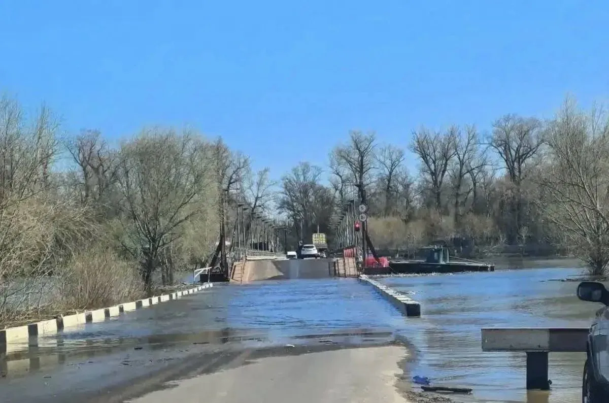 В Воронежской области закрыли наплавной мост через Дон из-за паводка