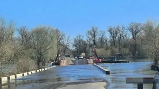В Воронежской области закрыли наплавной мост через Дон из-за паводка