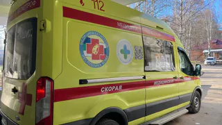 В Воронежской области в страшном ДТП погибла 8-летняя девочка