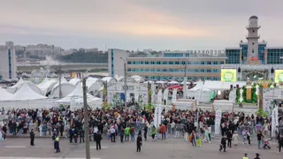 Воронеж готовится отметить День города и 300-летие губернии