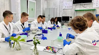 Воронежские школьники смогут попробовать свои силы в генетике и биотехнологии