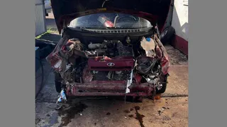 В Воронежской области авто "влетело" в падающее дерево