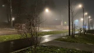 Прогноз погоды в Воронежской области на 10 октября: дожди и тепло до +17°C