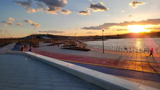 Бегунья из Лискинского района установила рекорд России на Московском марафоне