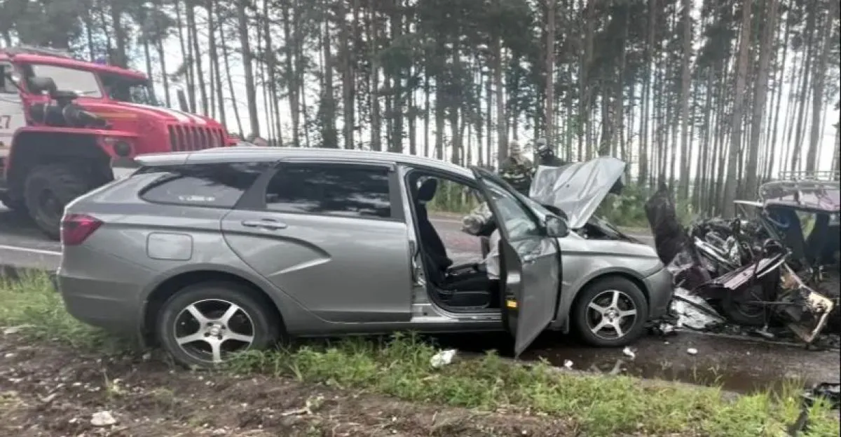 В Воронежской области лобовое столкновение унесло жизни двух пенсионеров