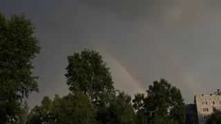 Грозы и дожди ожидаются в Воронежской области 20 июня