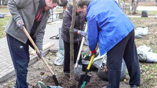 Мэр Воронежа Сергей Петрин поддержал акцию по осеннему озеленению города 