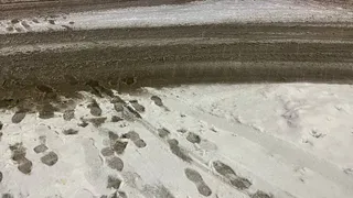 Солнце скроют облака, из которых пойдет мокрый снег: прогноз погоды в Воронежской области на 19 декабря