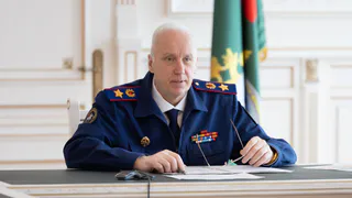 Бастрыкин потребовал доклад о нападении мигранта с мачете на жителей Воронежской области