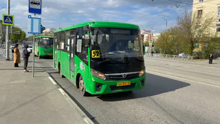 Воронежцев поздравили с Днём работников автомобильного и городского пассажирского транспорта