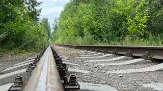 Ко Дню железнодорожника: в Лисках наградили передовиков отрасли из депо "Лиски-Узловая"