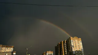 Погода в Воронежской области 30 мая будет прохладной, с грозами и туманом