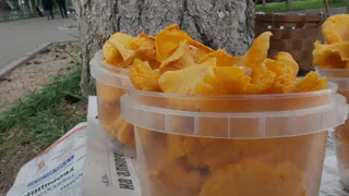 Австрийские гости восхитились качеством воронежских продуктов