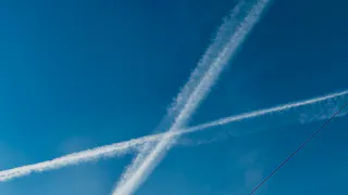 В Воронежской области рок-фестиваль "Ветра Черноземья" отменили из-за нестабильной обстановки