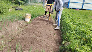 Переехали в деревню и только через год поняли, почему здесь больше не живут сельским хозяйством - причина всегда была под носом