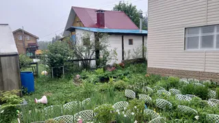 Закопала лавровый лист в огороде — и спокойна всю зиму: делаю так каждую осень, эффект радует не один десяток лет