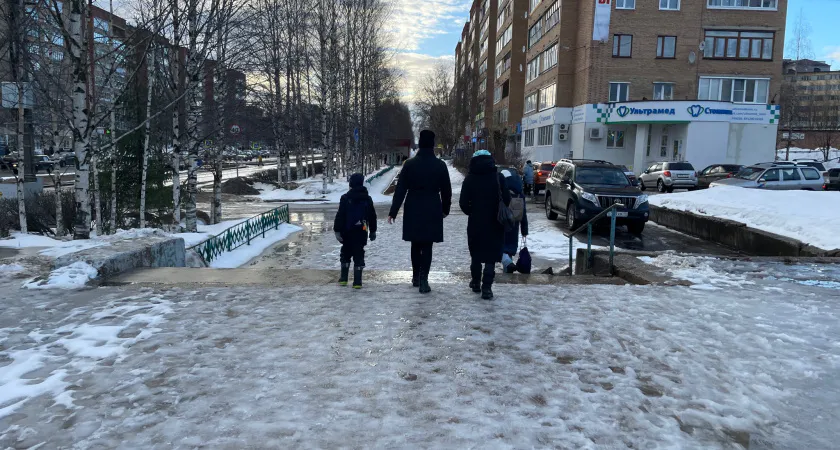 Настоящая зима на подходе: синоптики изменили прогноз на новогодние каникулы - что ждёт россиян