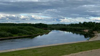 Тепло и облачно: каким будет 1 августа в Воронежской области 