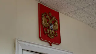 Жителя Воронежской области осудили за удар сковородой по голове женщины