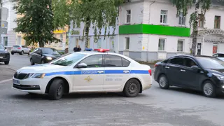 В Воронежской области автоинспекторы помогли водителю с неисправной машиной