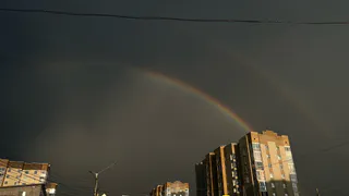 Град и порывы юго-западного ветра до 17 м/с надвигаются на Воронежскую область 17 июня