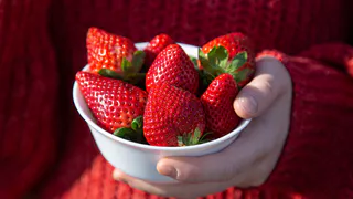 Клубника размером с кулак, сладкая как мороженка, до 2,5 кг с куста: какие сорта показали себя в этом году?
