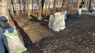 В Лисках коммунальные службы завершают осеннюю уборку общественных пространств