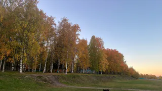 Воронежцев ждёт сокращенная рабочая неделя в конце осени