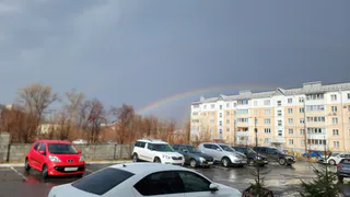 Погода в Воронежской области 25 апреля будет прохладной и ветреной