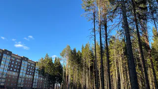 В Воронежской области ожидается до +14 градусов и переменная облачность 11 марта