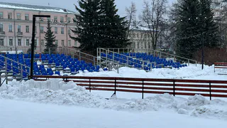 В Воронежской области лишь четверть жителей планируют смотреть Олимпиаду