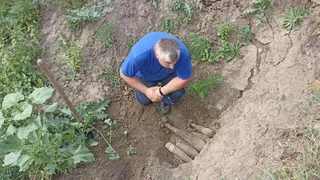 Пять снарядов уничтожили спасатели в Воронежской области