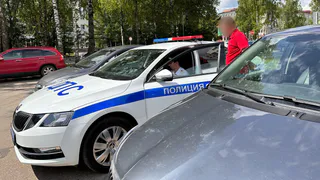 В Воронежской области пьяная женщина ударила инспектора ДПС и лишилась автомобиля